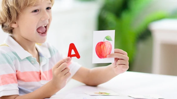 Language Booster Program SHINE CDC